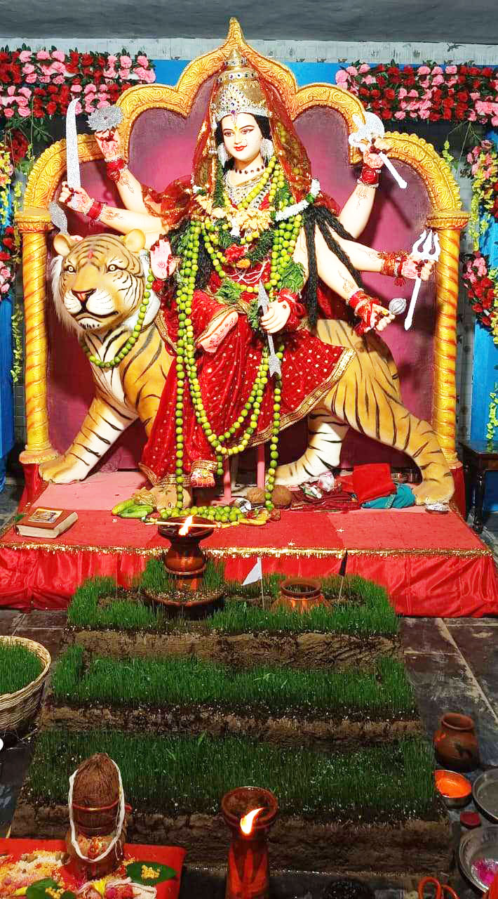 नवापारा में दुर्गोत्सव की धूम नवापारा में दुर्गोत्सव की धूम