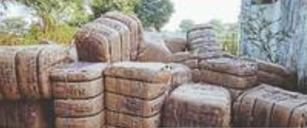 जिले में इस बार 98 लाख क्विंटल धान की आवक का अनुमान