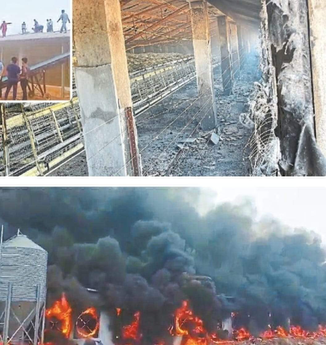 पोल्ट्री फार्म में शॉर्ट सर्किट से आग, करोड़ों के नुकसान की आशंका