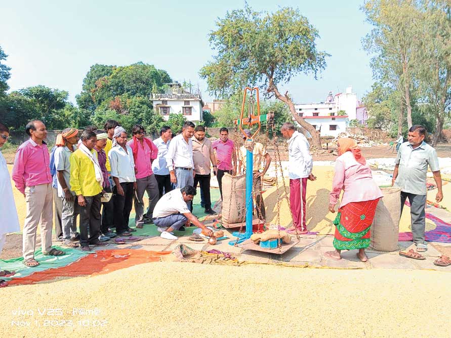 पहले दिन कुरुद क्षेत्र की सोसायटियों में 6 हजार क्विंटल से अधिक धान खरीदी