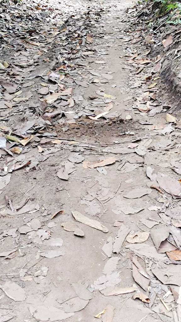 प्रेशर बम बरामद, किया निष्क्रिय