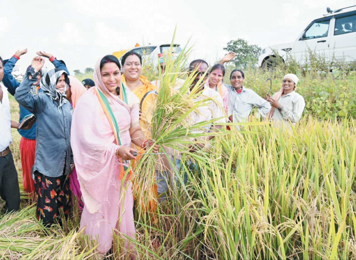 अजय ने पहनी खूर्मी, किसान बन तारणी ने काटी फ़सल