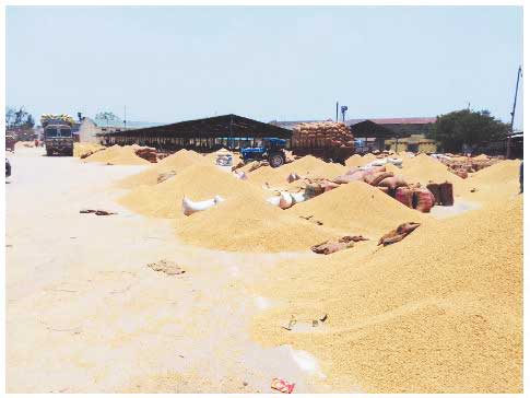 चावल में मांग बनी रहेगी, उबल रहा दलहन, एचएमटी, सियाराम और विष्णुभोग में भी गर्मी