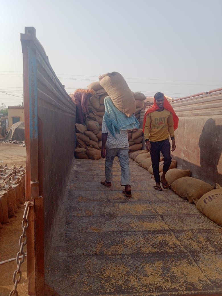 बेमेतरा जिले के धान खरीदी केंद्रों से धान का उठाव शुरू, 384 मीट्रिक टन का डीओ जारी