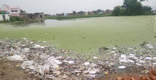 घाट की सफाई नहीं होने से छठव्रतियों को असुविधा