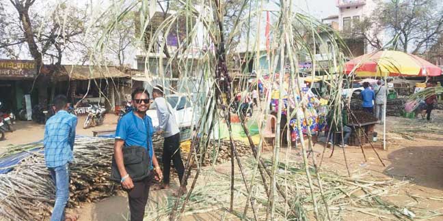 धूमधाम से मना देवउठनी एकादशी पर्व