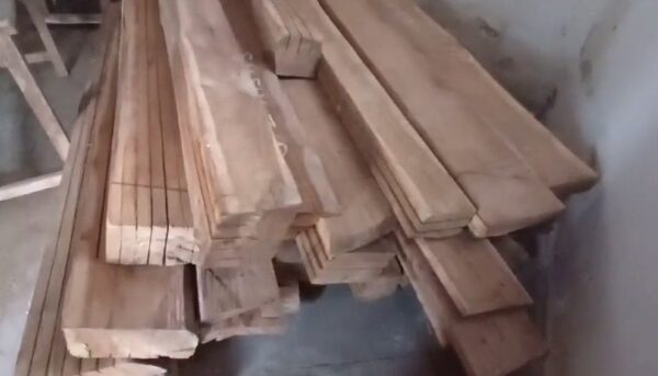 शिक्षक के घर से सागौन  की चिरान जब्त