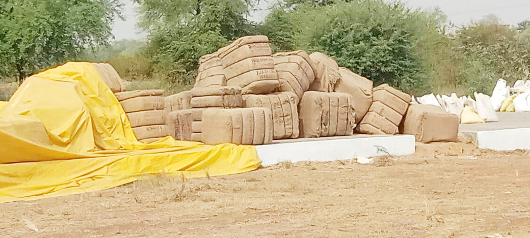 28 दिनों में मात्र 8 हजार क्विंटल धान खरीदी, कुछ केन्द्रों में अभी भी पसरा है सन्नाटा