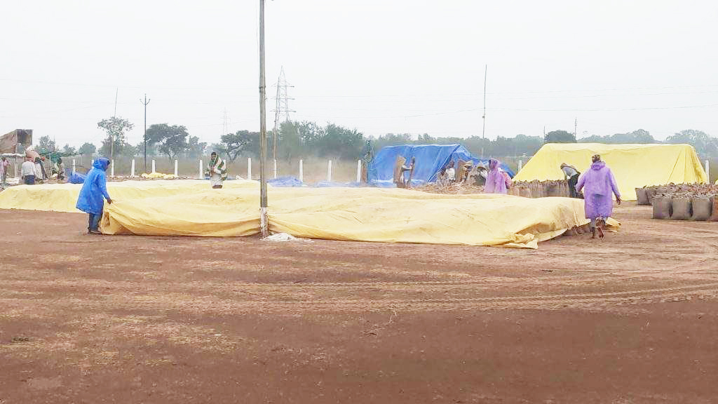 बारिश, धान खरीद केंद्र में तालपत्री होने से भीगने से बचा धान