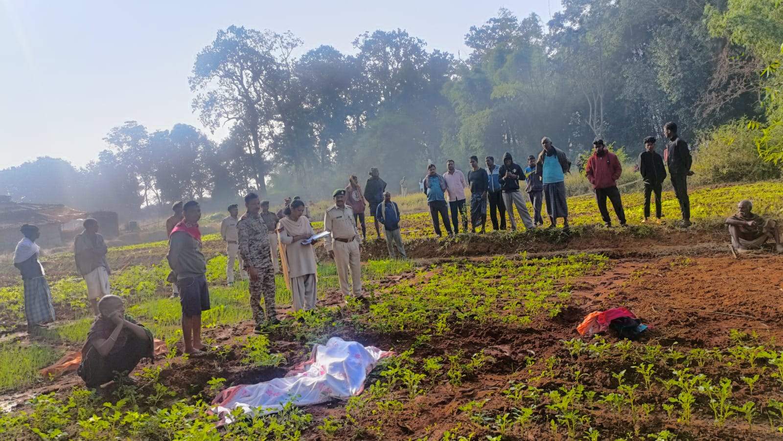 हाथी के हमले से  महिला की मौत