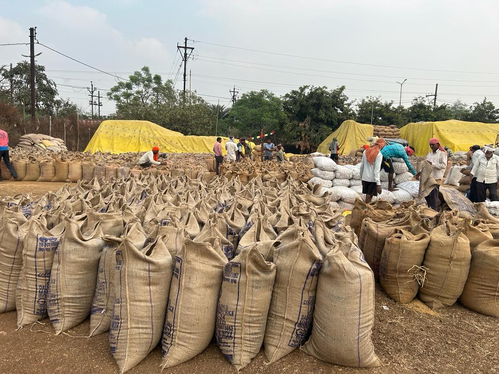 जिले में अब तक 13807.20 क्विंटल  धान की खरीदी