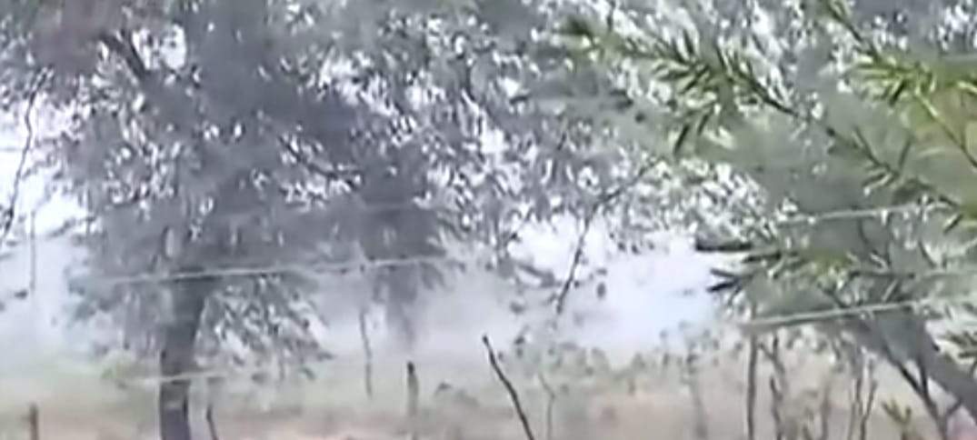 24 घंटे में 5 एमएम बारिश, 129 धान खरीदी केंद्रों में सन्नाटा