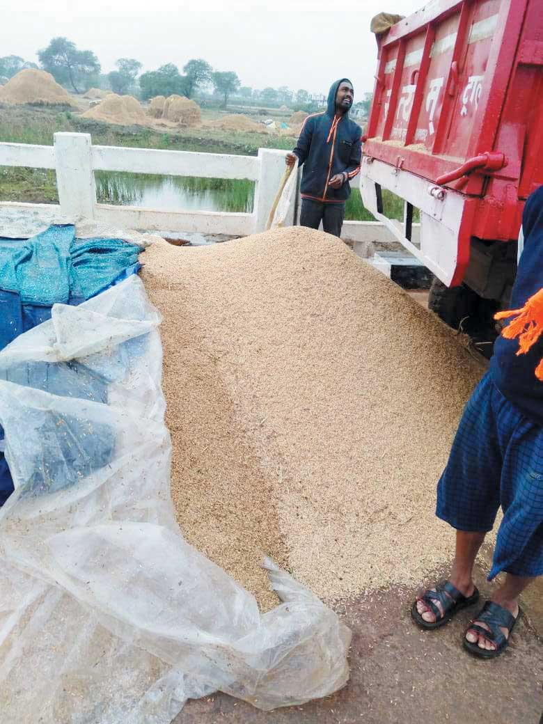 बेमौसम बारिश, सोसायटी में धान खरीदी बंद, किसान चिंतित