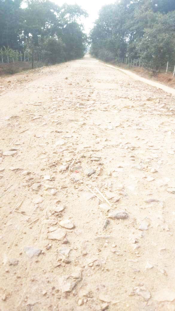 15 वर्ष पूर्व बनी सडक़ का हाल खस्ता