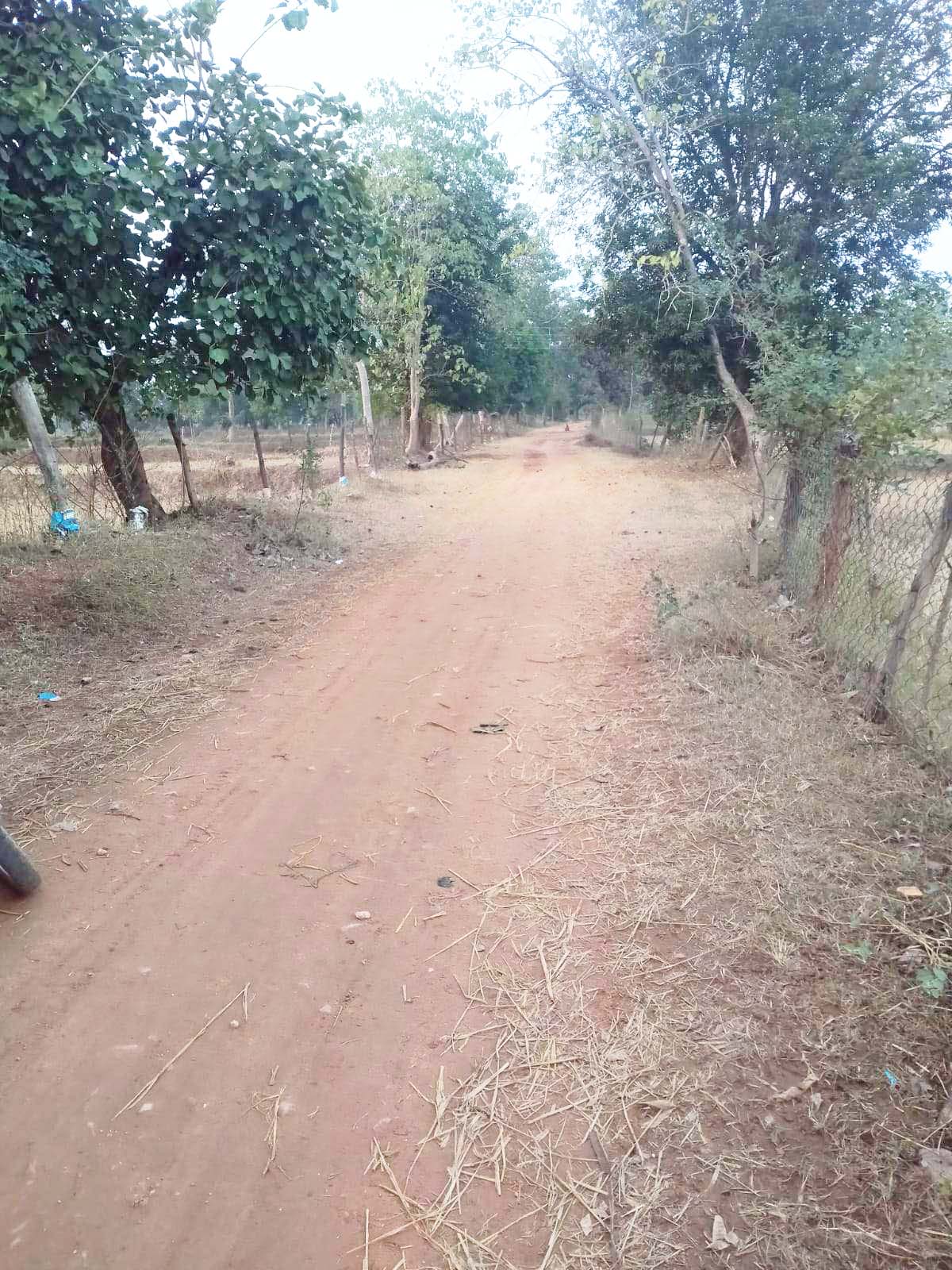 चिखली-सोनसायटोला सडक़ का नहीं हुआ कायाकल्प