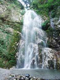 क्रिसमस व नए वर्ष की छुट्टियों के लिए बारनवापारा अभ्यारण कॉटेज और रेस्टहाउस में बुकिंग फुल