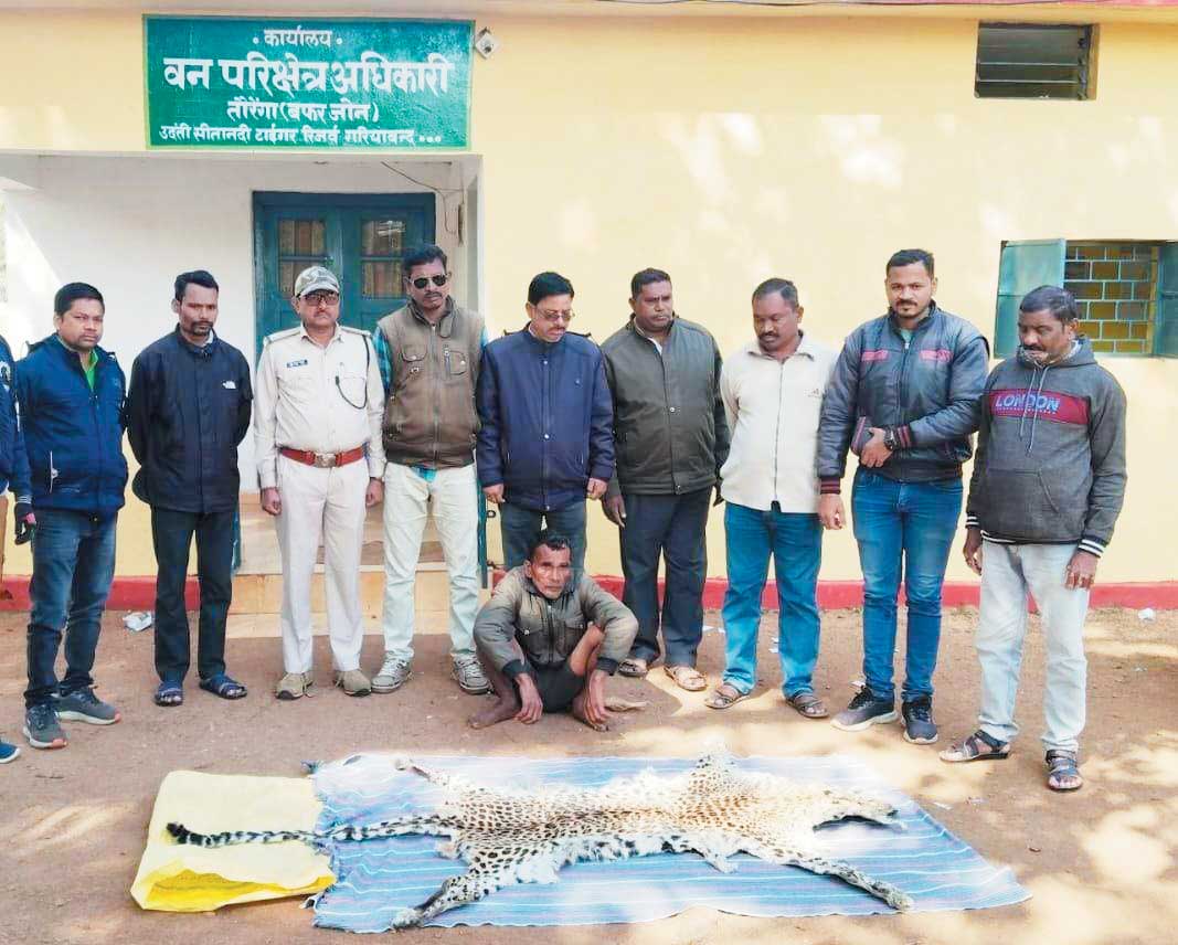 तेंदुआ खाल के साथ एक गिरफ्तार, 2 फरार तेंदुआ खाल के साथ एक गिरफ्तार, 2 फरार