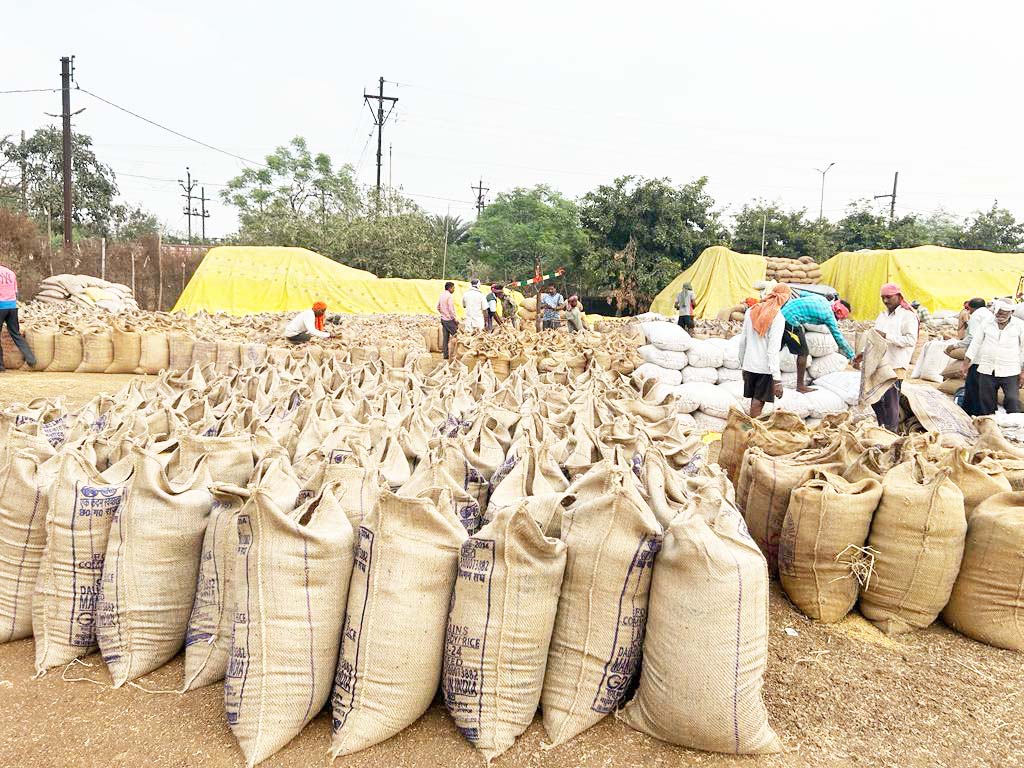 मोहला-मानपुर के दो दर्जन केंद्रों में धान खरीदी बंद, नांदगांव-केसीजी में 50 फीसदी उठाव