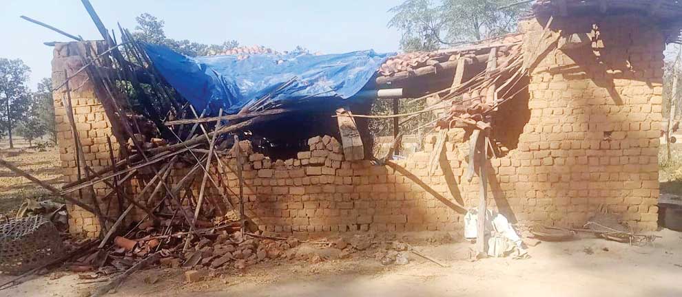 हाथियों ने मवेशियों पर किया हमला, 3 की मौत, 3 घायल