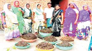 गोबर खरीदी बंद, 200 से ज्यादा का पौने 3 लाख बाकी