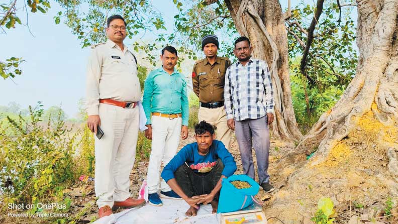 गांजा खपाने ग्राहक की तलाश, बंदी गांजा खपाने ग्राहक की तलाश, बंदी