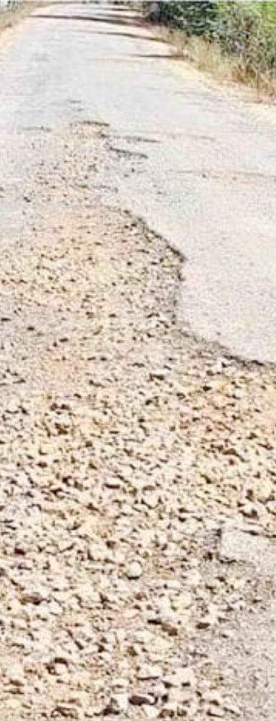 पडक़ीडीह से धनगांव की सडक़ बदहाल