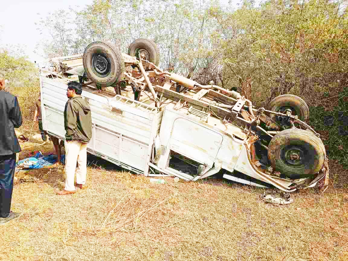 पिकअप पलटी, 7 मवेशियों की मौत