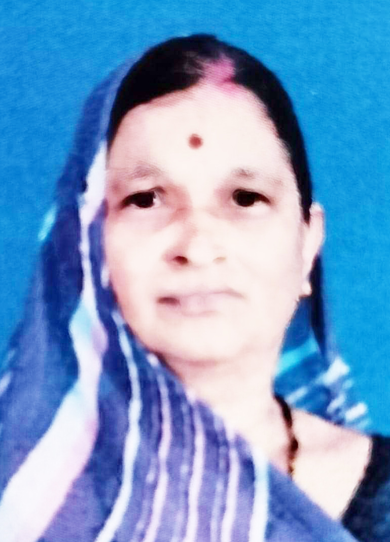 निजी जमीन पर कब्जा करने वाले राजेश अग्रवाल पर कार्रवाई की मांग- बेदमती पटेल निजी जमीन पर कब्जा करने वाले राजेश अग्रवाल पर कार्रवाई की मांग- बेदमती पटेल