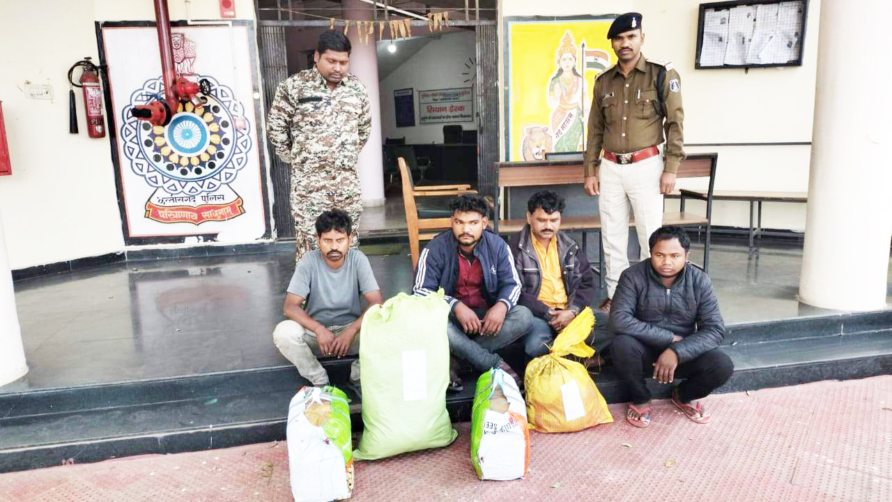 दो ट्रकों से 30 किलो गांजा जब्त दो ट्रकों से 30 किलो गांजा जब्त