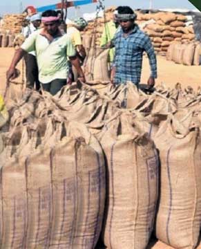 बीते साल का रिकॉर्ड टूटा, अधिक खरीदी