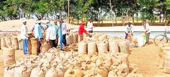 बलौदाबाजार: 1.56 लाख किसानों ने बेचा 87 लाख क्विंटल धान