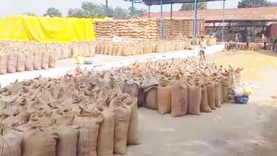 उपार्जन केद्रों में आई सूखत की समस्या