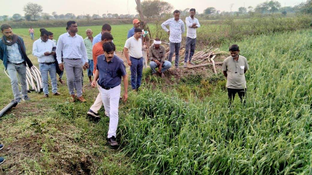 संयुक्त संचालक कृषि  ने किया ओलावृष्टि  क्षेत्र का निरीक्षण 
