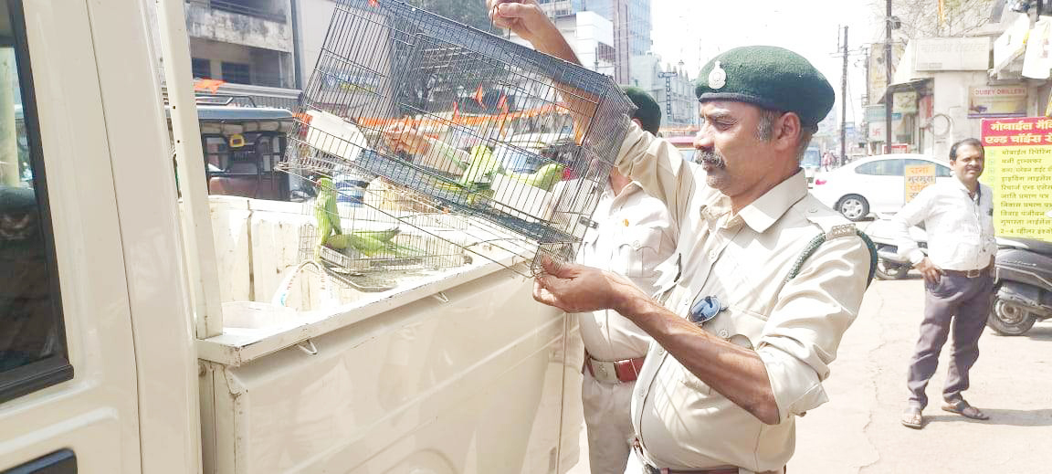 वन्य जीवों के संरक्षण और संवर्धन में करें सरकार का सहयोग-केदार 