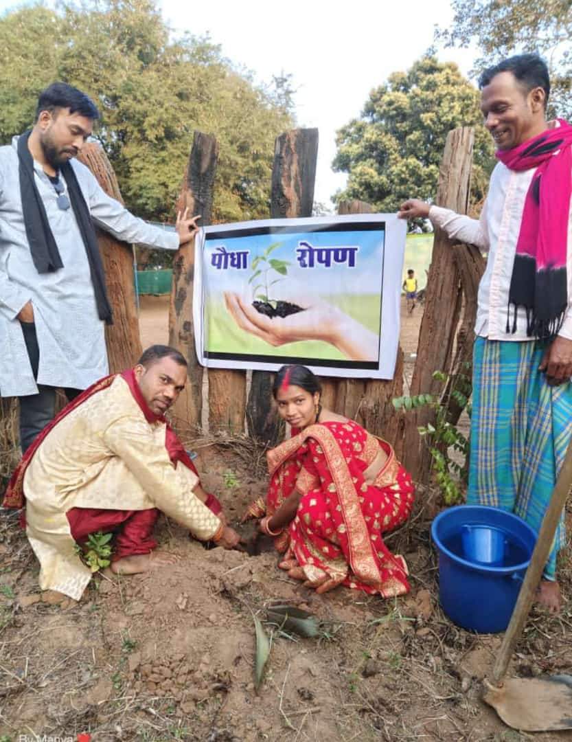 नवदंपत्ति ने पौधारोपण कर की नए जीवन की शुरुआत नवदंपत्ति ने पौधारोपण कर की नए जीवन की शुरुआत