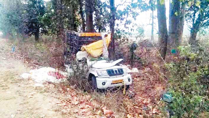 मुर्गियों से भरी गाड़ी टकराई पेड़ से, परिचालक की मौत