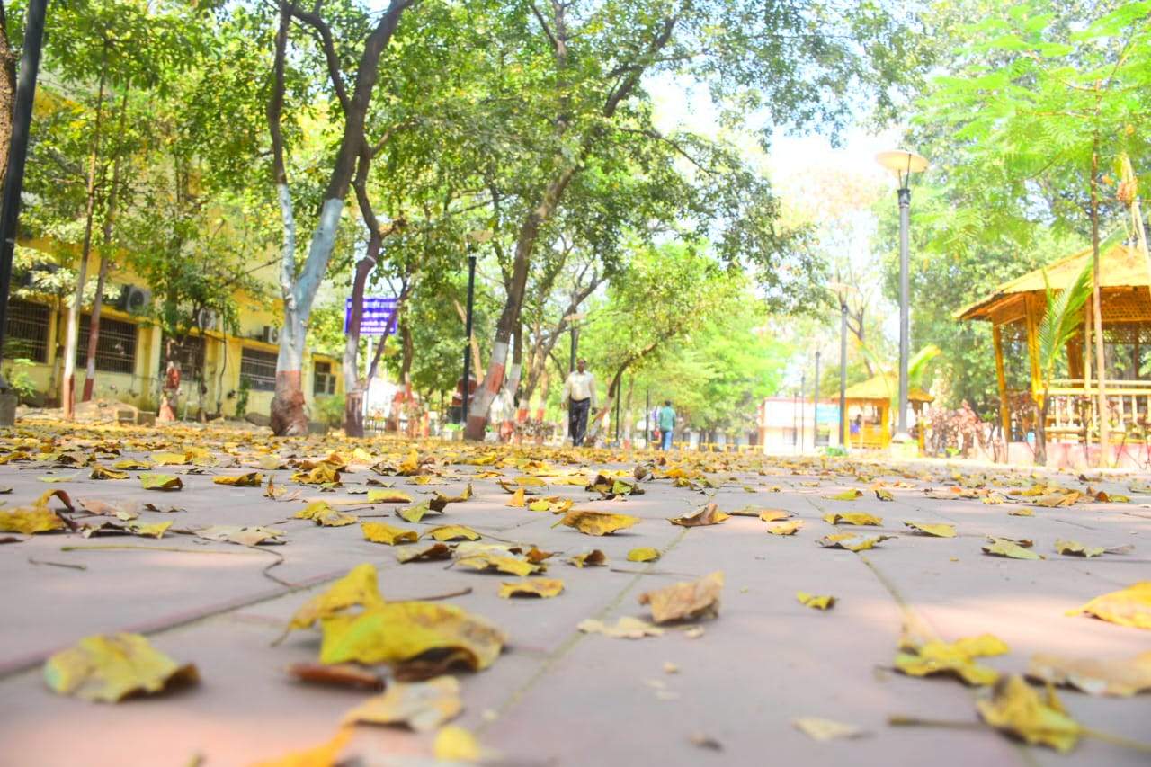 रायगढ़ में तडक़े झमाझम बारिश रायगढ़ में तडक़े झमाझम बारिश