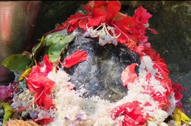 सावन में बच्ची को मड़ानार के जंगल में स्वयंभू शिवलिंग के दर्शन, भक्तों का तांता