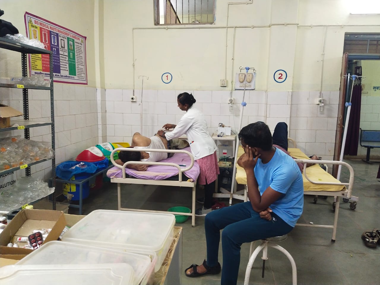 मधुमक्खियों ने काटा, 2 घायल मधुमक्खियों ने काटा, 2 घायल