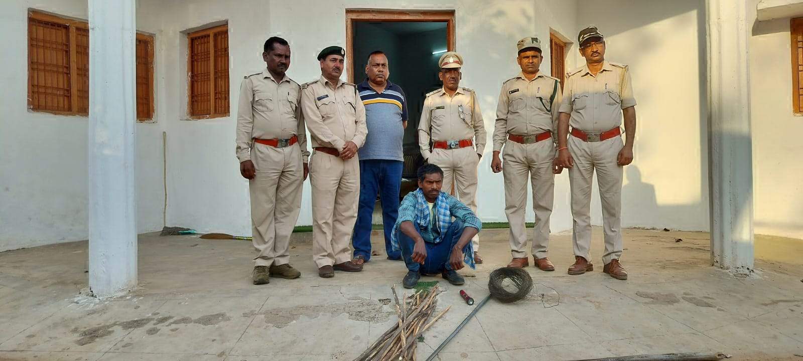 करंट से मादा हाथी को मारा