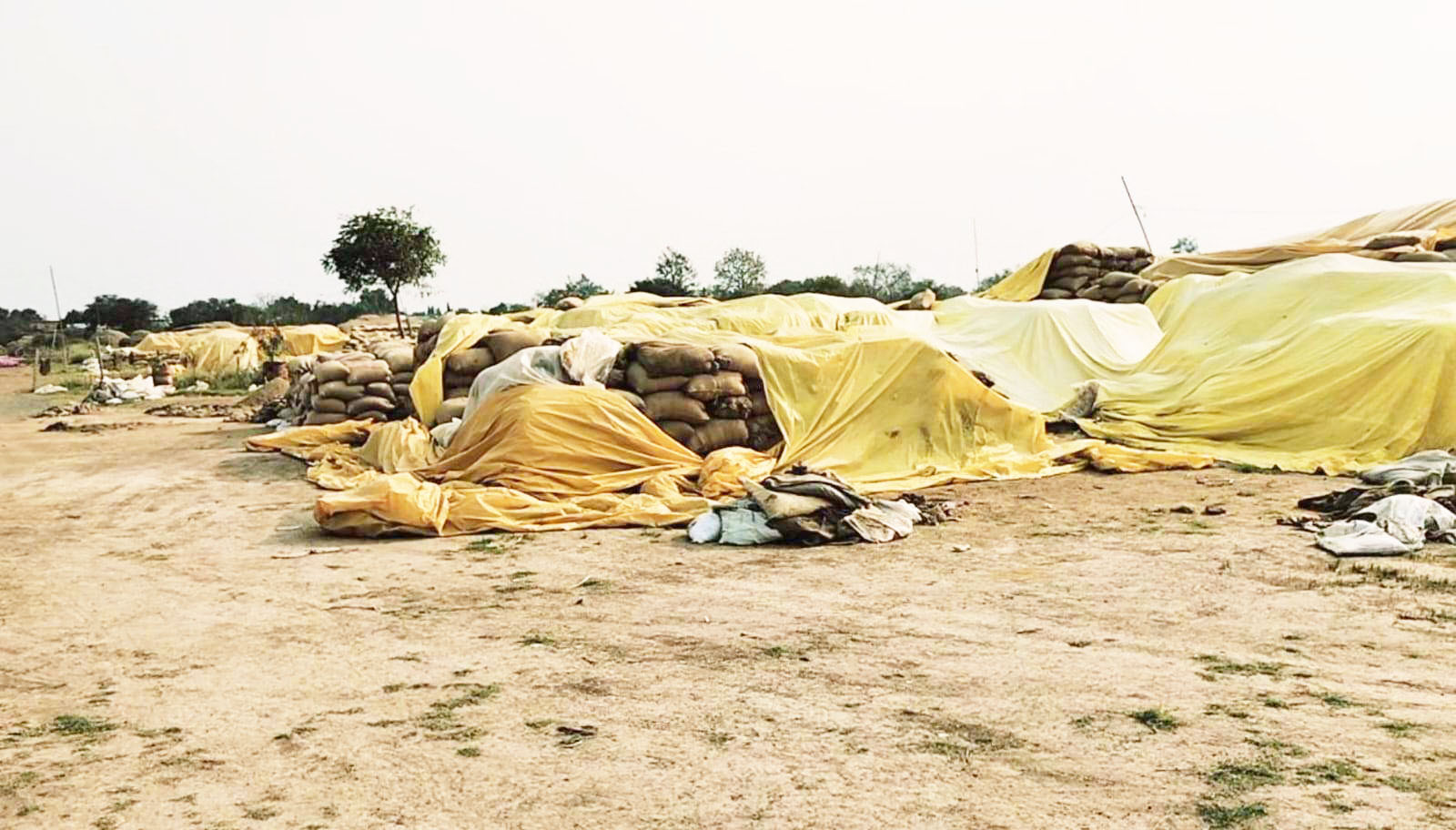 डीओ  नहीं कटा, समितियों से मिलर धान नहीं उठा रहे