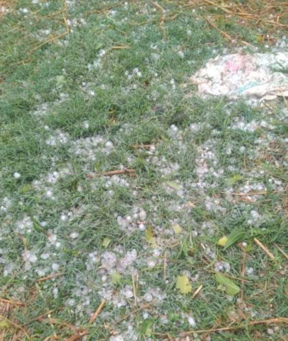 तेज हवा के साथ मूसलाधार बारिश,  ओले गिरे, फसलों को नुकसान