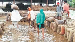 समितियों में 16 लाख क्विंटल धान जाम कई खरीदी केंद्रों में बारिश में भीगा