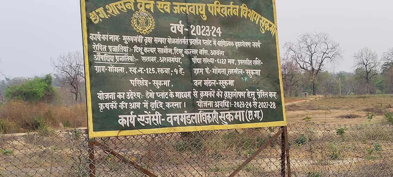 जल के अभाव में सूख गए पौधे, कम पौधे लगाकर शासन को लगा रहे हैं चुना, कितने की खरीदी हुई राशि का पता नहीं