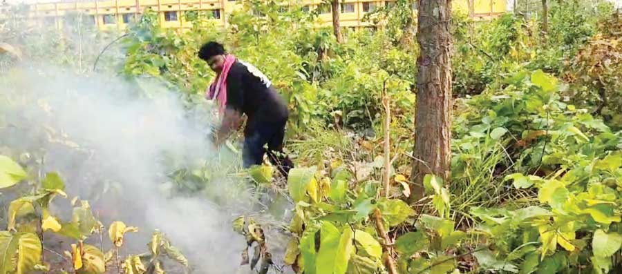नगर से लगे जंगल में लगी आग, काबू नगर से लगे जंगल में लगी आग, काबू