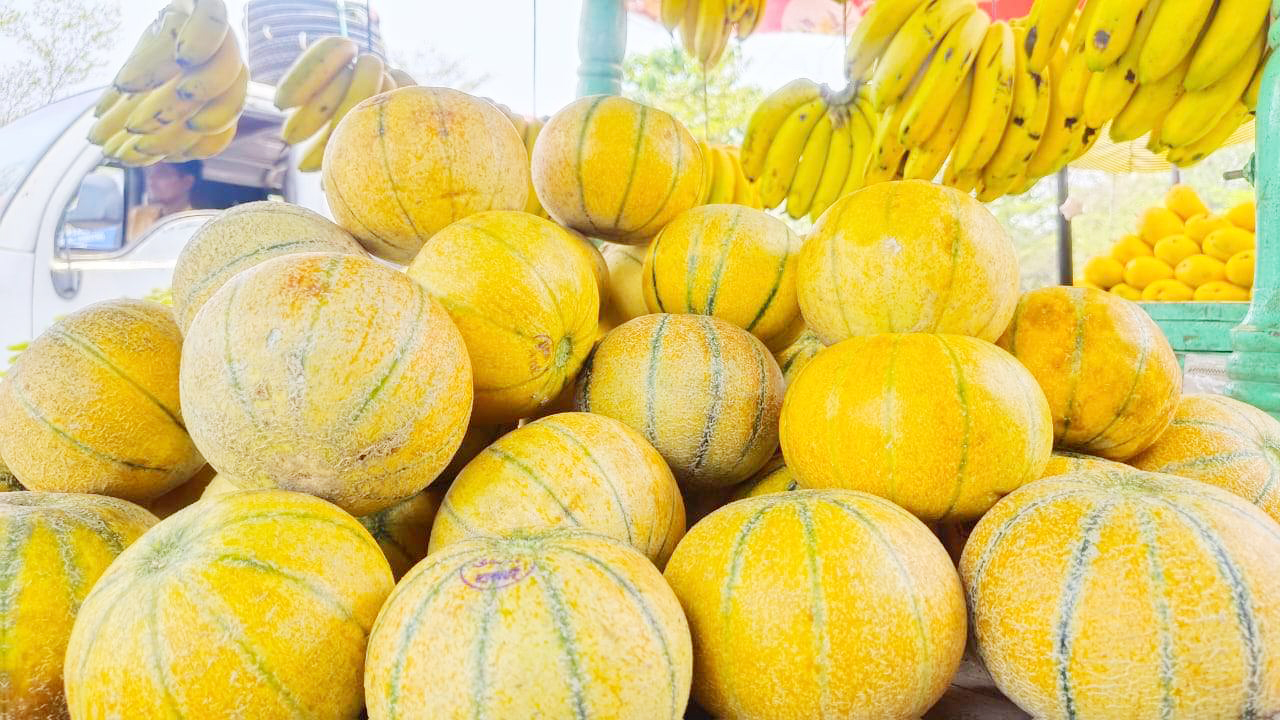 बाजार में गर्मी के रसीले फलों की बहार