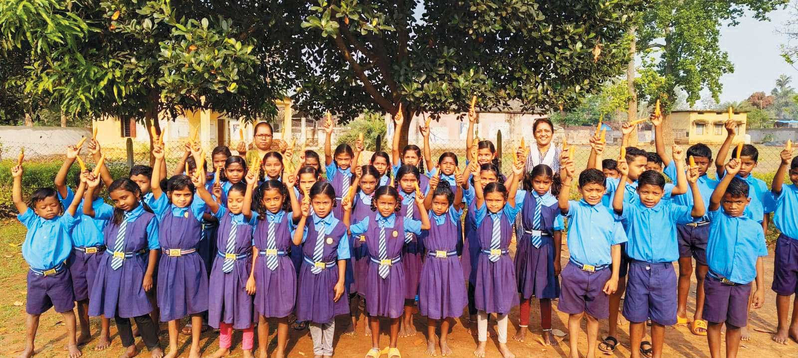 प्राथमिक शाला में मनाया विश्व गाजर दिवस प्राथमिक शाला में मनाया विश्व गाजर दिवस