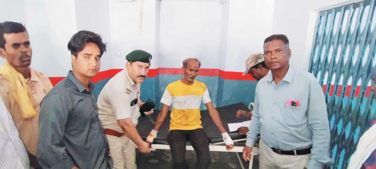 भालू के हमले से 3 घायल