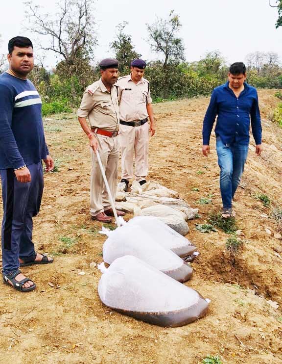 अवैध महुआ शराब बनाने के घटमडवा डेरा में छापा