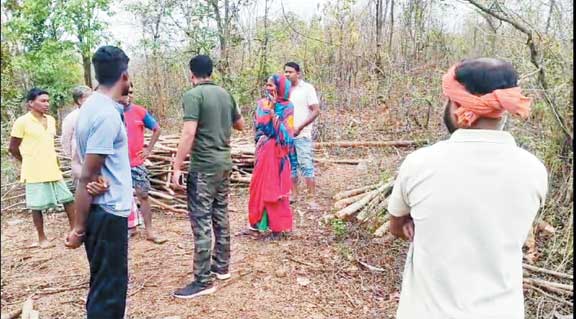 बेटी की शादी का मंडप बनाने जंगल गया ग्रामीण, हाथी ने कुचलकर ली जान